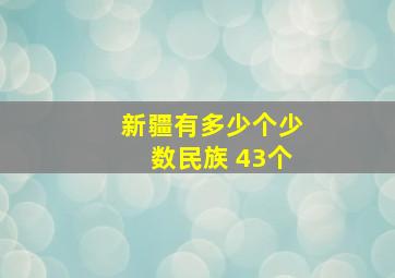 新疆有多少个少数民族 43个